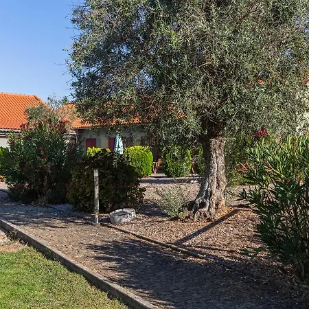 Quinta Do Chao Da Vinha Farma