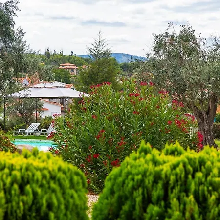 مزرعة للإقامة Quinta Do Chao Da Vinha *