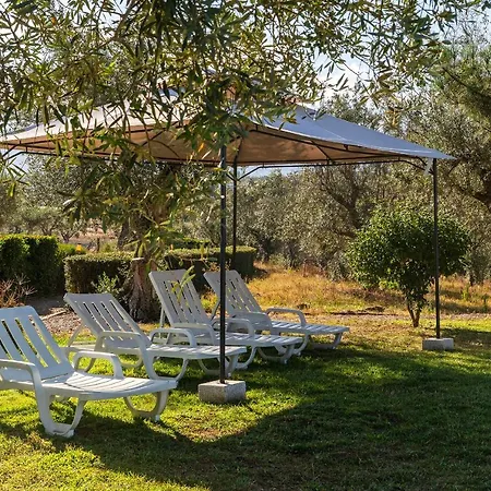 Quinta Do Chao Da Vinha Agroturismo *