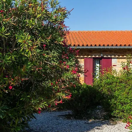Agroturismo Quinta Do Chao Da Vinha Carragozela