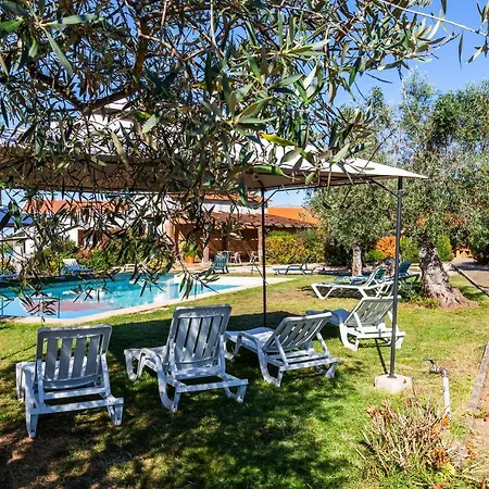 Quinta Do Chao Da Vinha Agroturismo Carragozela
