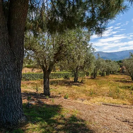 Quinta Do Chao Da Vinha Carragozela