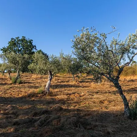 Quinta Do Chao Da Vinha Lantgård *