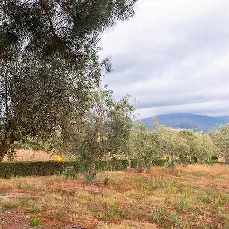 Quinta Do Chao Da Vinha Agroturismo Carragozela