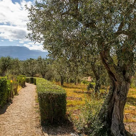 مزرعة للإقامة Quinta Do Chao Da Vinha Carragozela