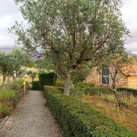 Quinta Do Chao Da Vinha Lantgård