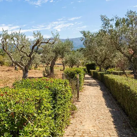 Quinta Do Chao Da Vinha * Carragozela