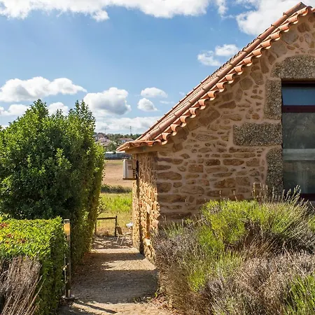 Quinta Do Chao Da Vinha