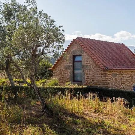 Quinta Do Chao Da Vinha * Carragozela
