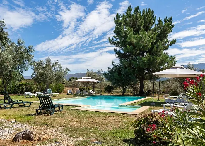 Фермерский дом Quinta Do Chao Da Vinha