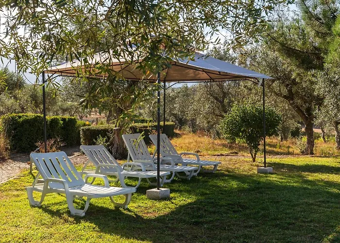 Quinta Do Chao Da Vinha Agroturismo *
