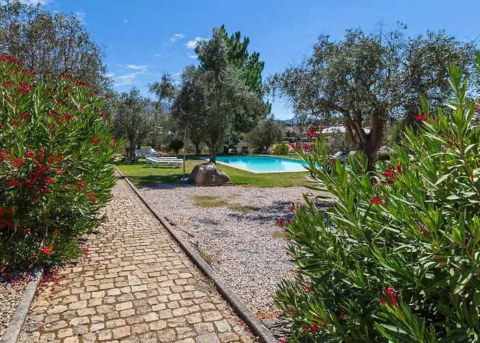 Quinta Do Chao Da Vinha Фермерский дом Carragozela