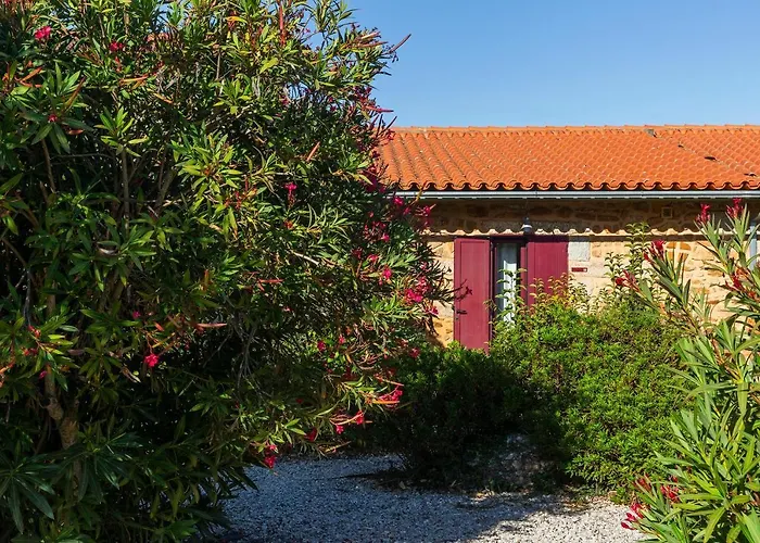 Фермерский дом Quinta Do Chao Da Vinha Carragozela