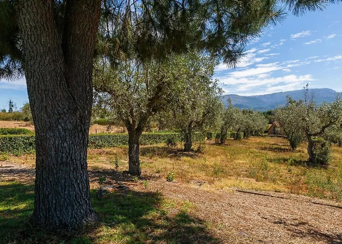 Quinta Do Chao Da Vinha Carragozela