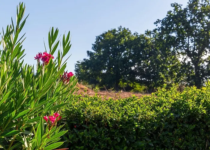 Quinta Do Chao Da Vinha Фермерский дом