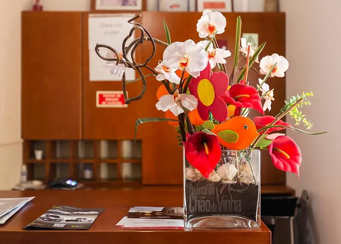 Фермерский дом Quinta Do Chao Da Vinha *