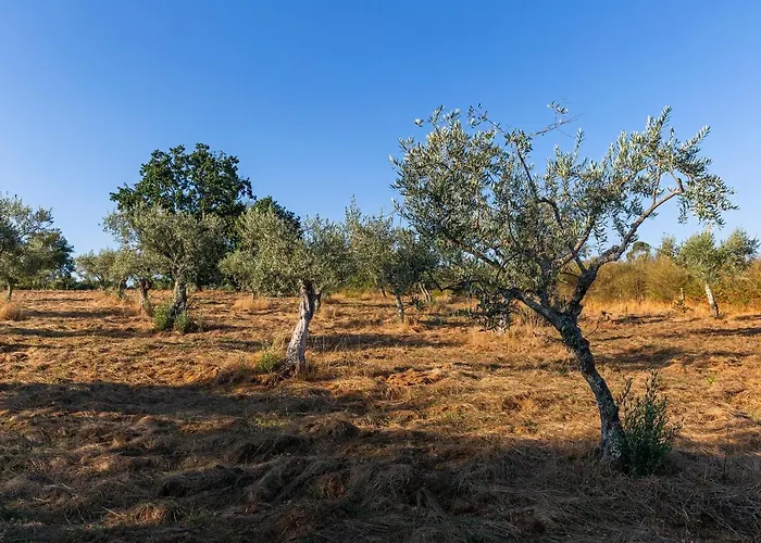 Quinta Do Chao Da Vinha Фермерский дом *