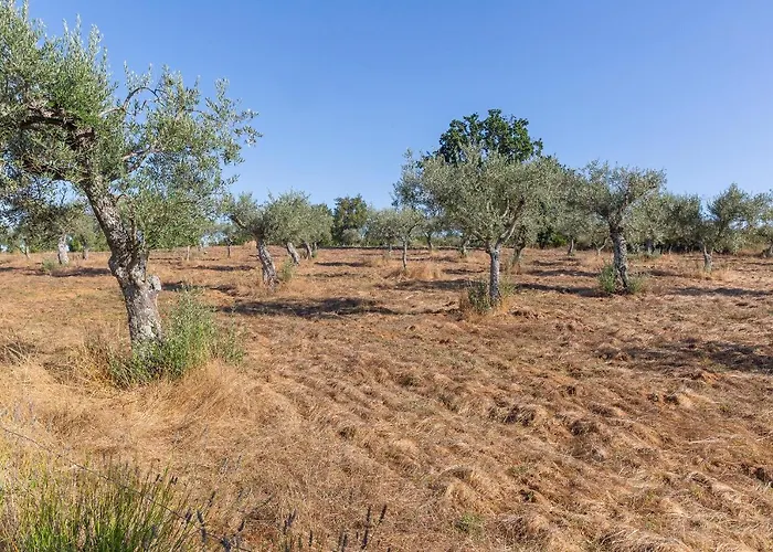 Quinta Do Chao Da Vinha Фермерский дом