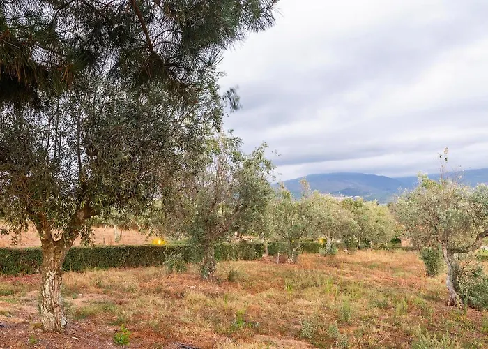 Quinta Do Chao Da Vinha Фермерский дом Carragozela