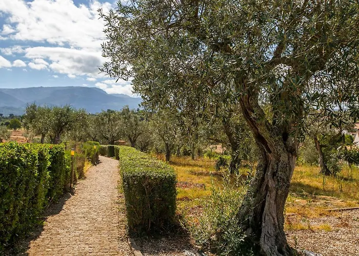 Фермерский дом Quinta Do Chao Da Vinha Carragozela