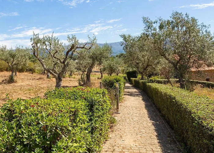 Quinta Do Chao Da Vinha * Carragozela