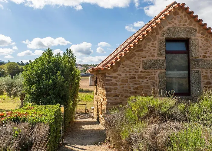 Quinta Do Chao Da Vinha