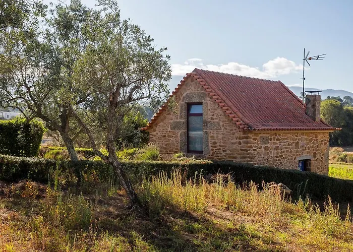 Quinta Do Chao Da Vinha * Carragozela